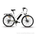 XY-PASSION Electric trekking bike